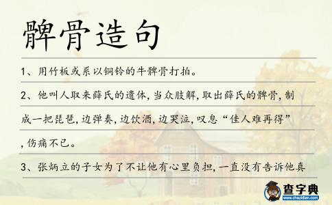 髀骨造句