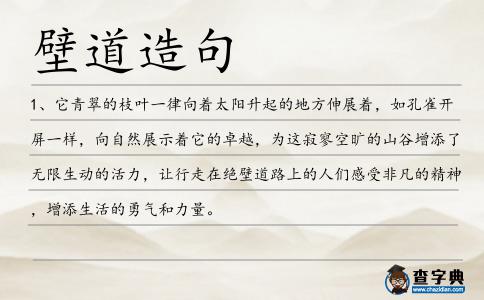 壁道造句