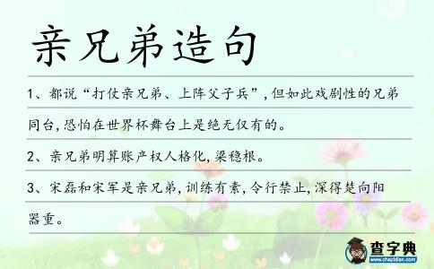 親兄弟造句