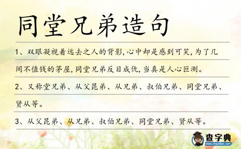 同堂兄弟造句