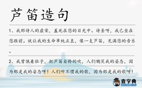 蘆笛造句