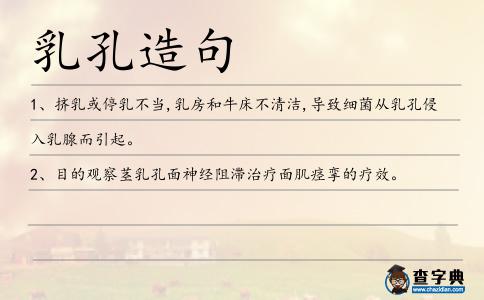 乳孔造句