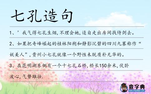七孔造句