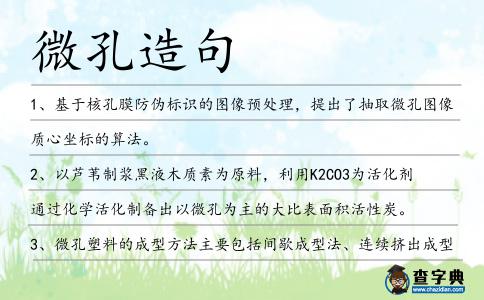 微孔造句