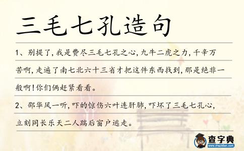 三毛七孔造句