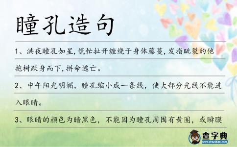 瞳孔造句