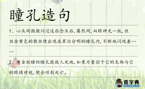 瞳孔造句