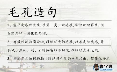 毛孔造句