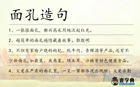 面孔造句