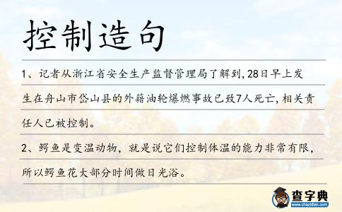 控制造句