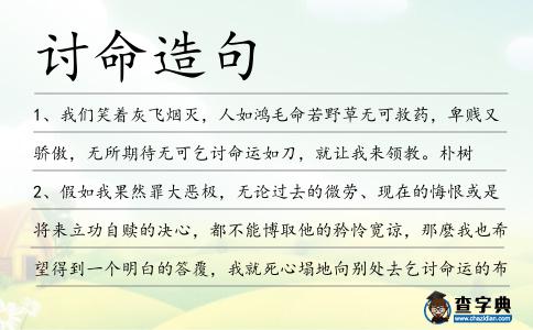 討命造句