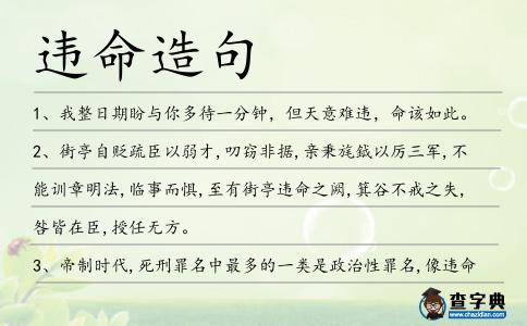 違命造句