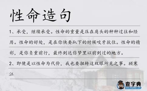 性命造句
