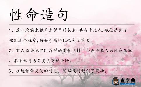 性命造句