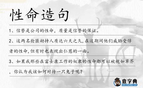 性命造句