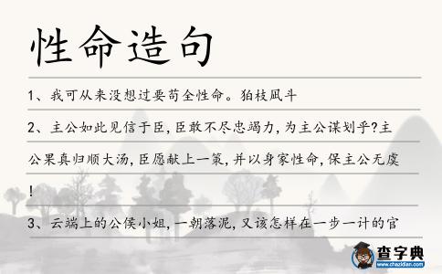 性命造句