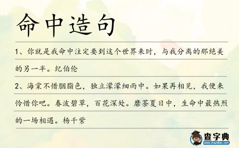 命中造句