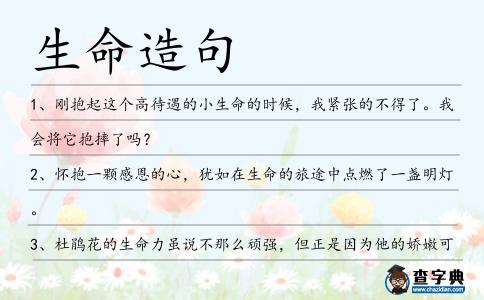 生命造句