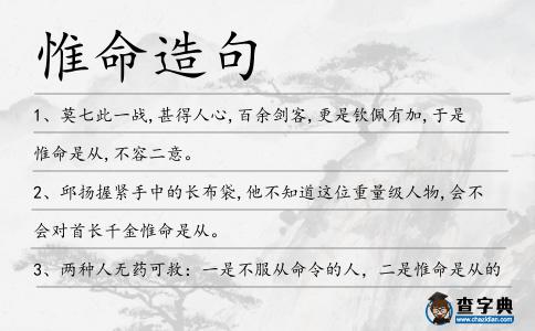 惟命造句