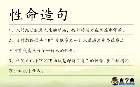 性命造句