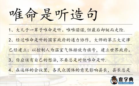 唯命是聽造句