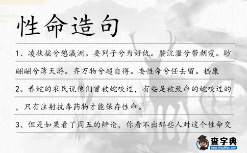 性命造句
