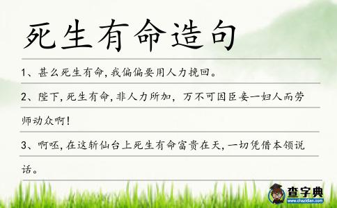 死生有命造句