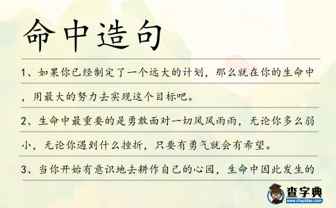 命中造句