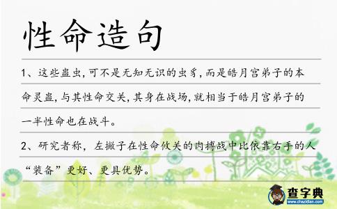 性命造句