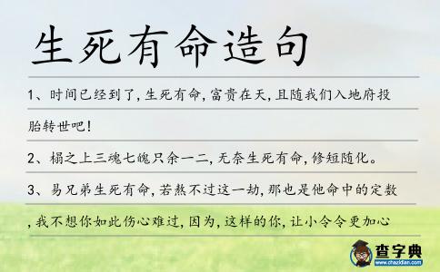 生死有命造句