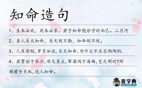 知命造句
