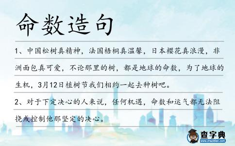 命數造句