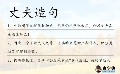 丈夫造句