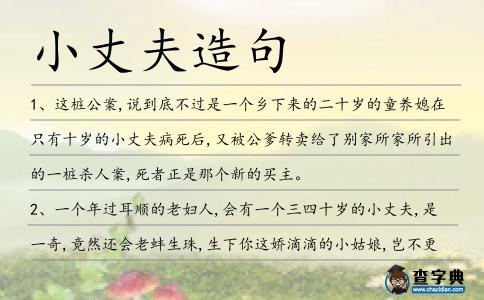 小丈夫造句