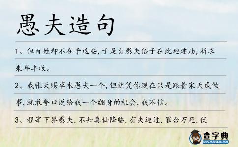 愚夫造句