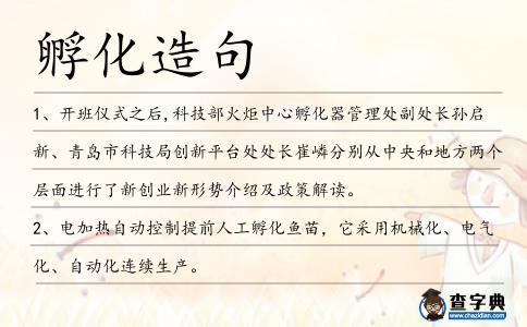 孵化造句