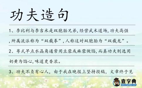 功夫造句