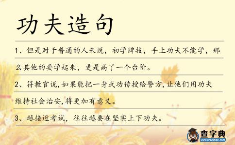 功夫造句