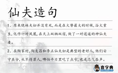 仙夫造句