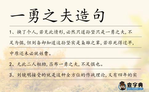 一勇之夫造句