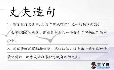 丈夫造句