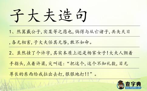 子大夫造句