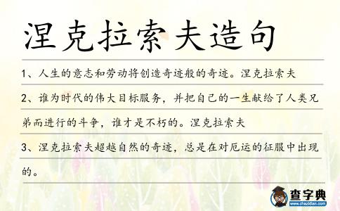 涅克拉索夫造句