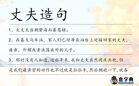 丈夫造句
