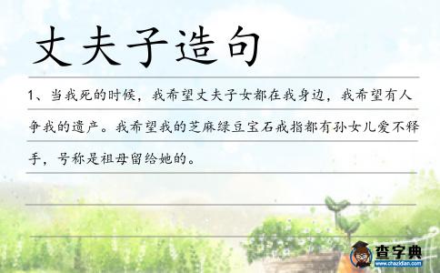丈夫子造句