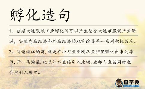 孵化造句