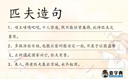 匹夫造句