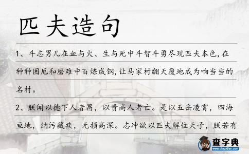 匹夫造句