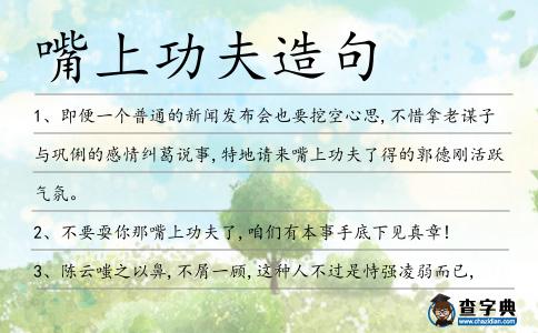 嘴上功夫造句