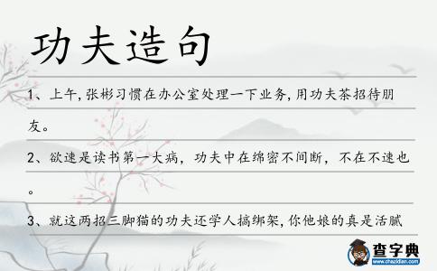 功夫造句